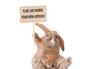 17d1fa69-b080-497a-86d8-396c5c17e6b7_560_420